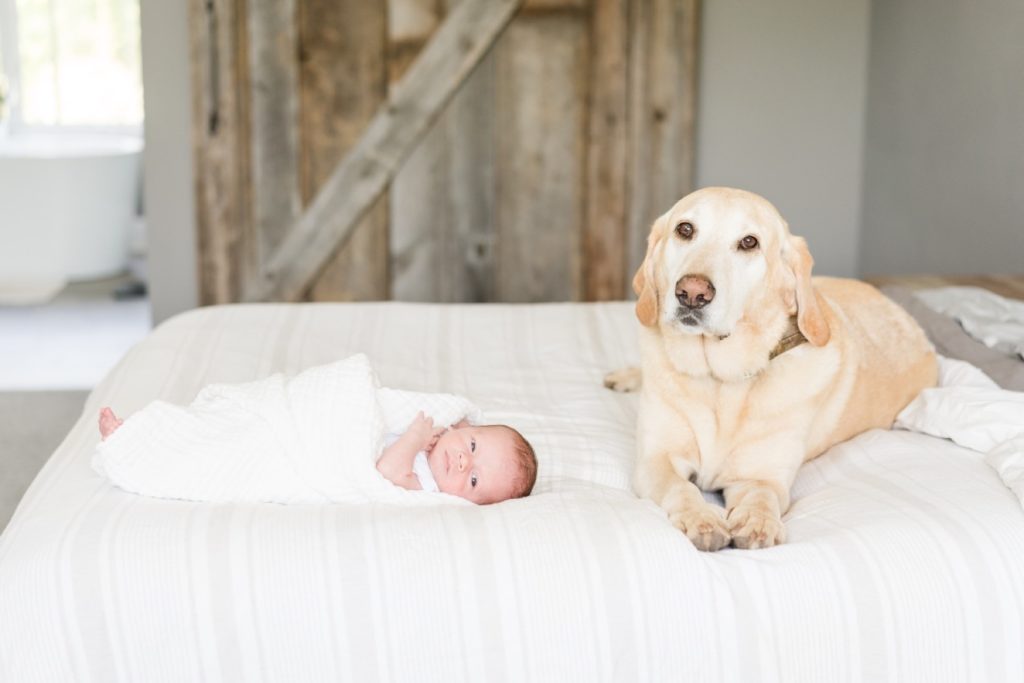 Newborn baby with dog