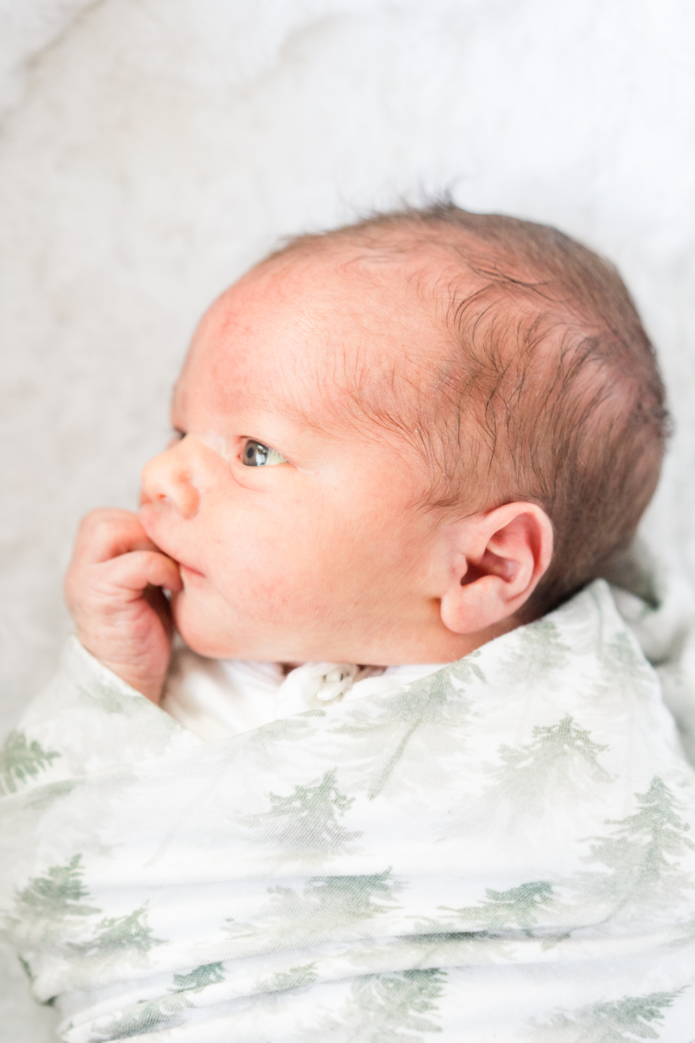 Sweet newborn baby wrapped in a soft white swaddle with subtle sage tree details while gazing upward during an in-home session. This image highlights simple and timeless newborn photoshoot outfits that keep the focus on baby’s delicate features and peaceful expression.